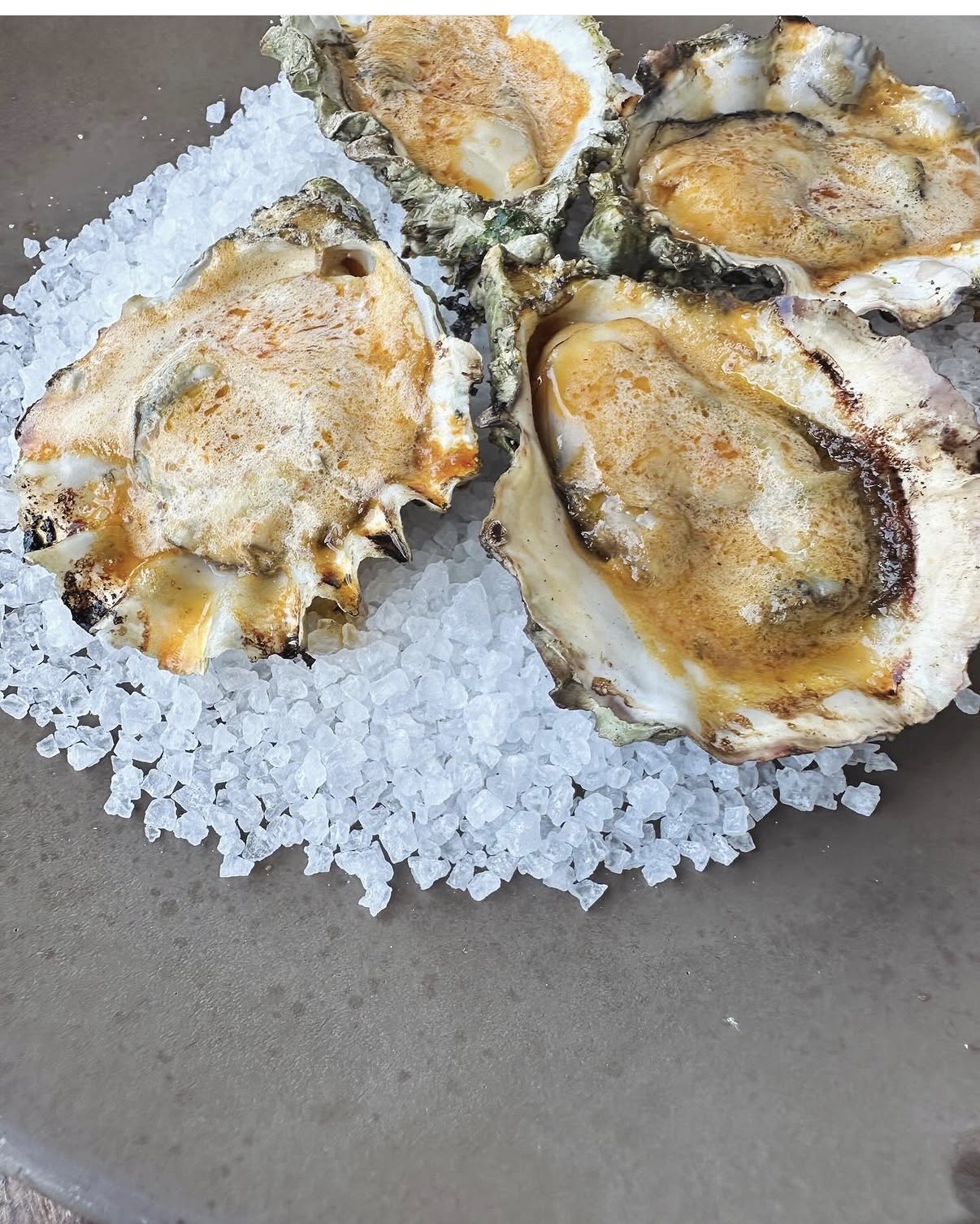 Grilled oysters on rock salt