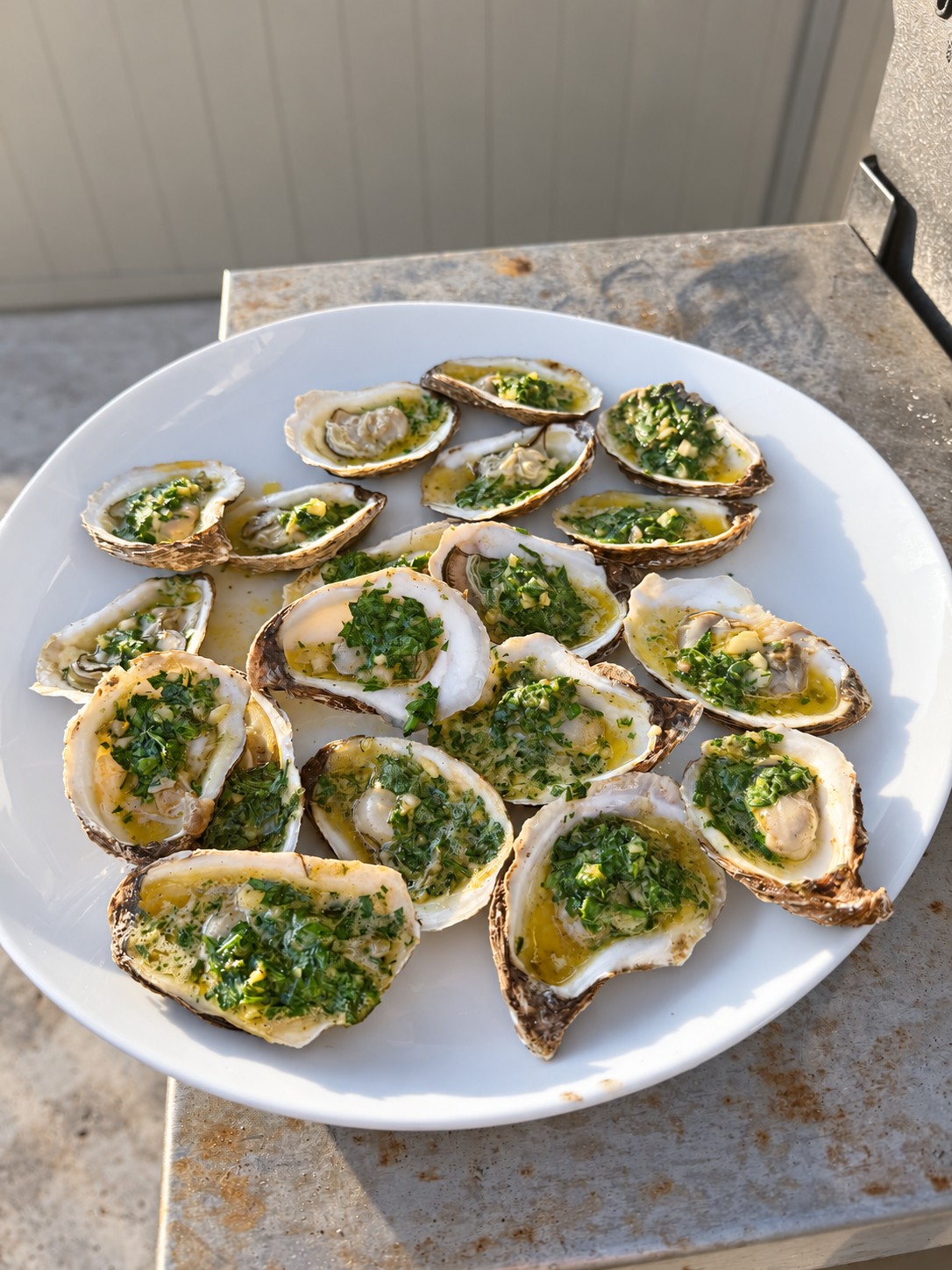 A white platter of oysters topped with garlic, herbs, and melted butter in the sunshine.