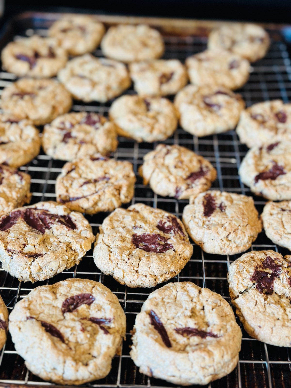 Powdered cookies with chocolate pieces cooling on a wire rack.