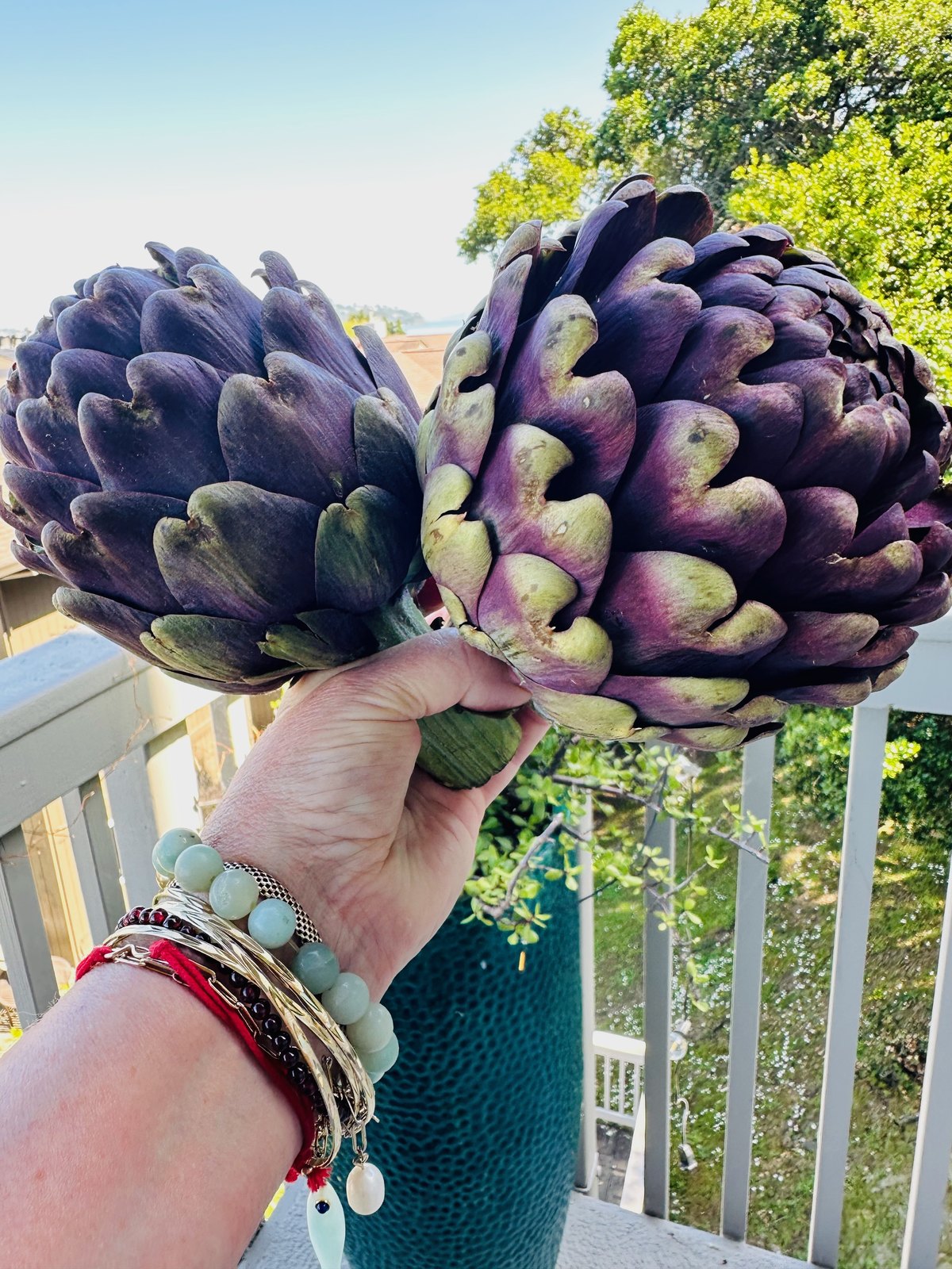 A hand holding two large purple artichokes on a sunlit deck with trees behind